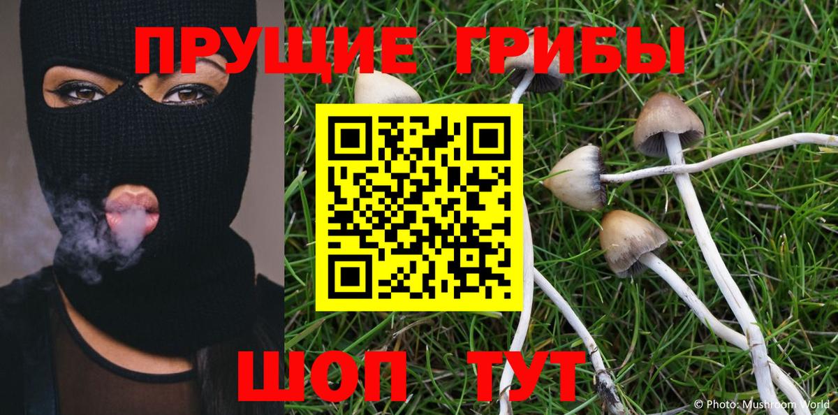 Псилоцибиновые грибы GOLDEN TEACHER Знаменск