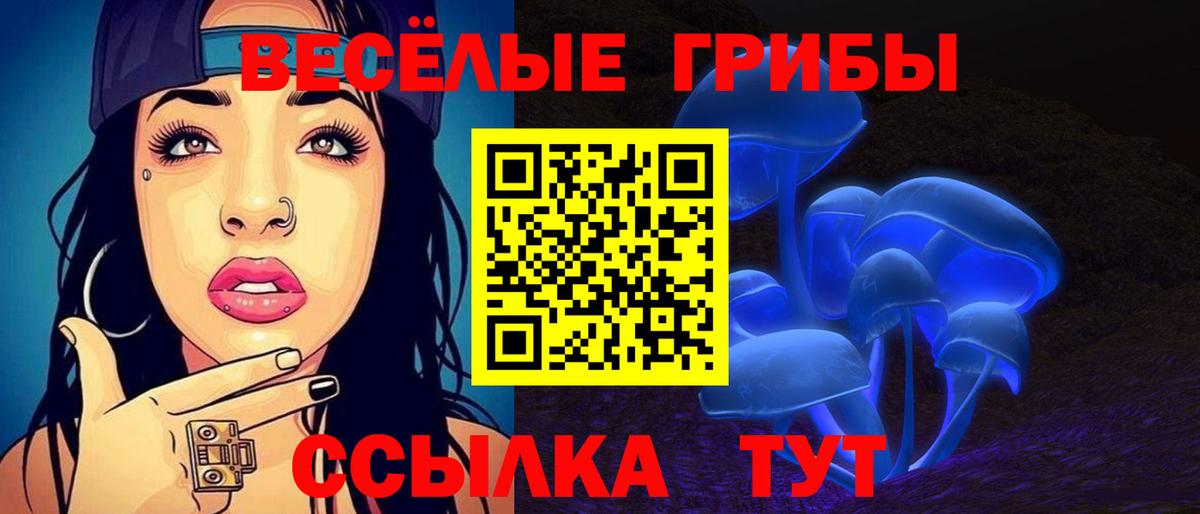 Галлюциногенные грибы мухоморы  Галлюциногенные грибы ЛСД  Знаменск  Вход с VPN 